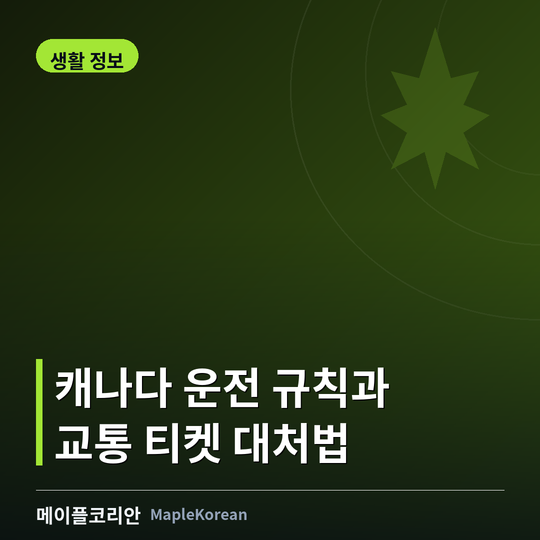 캐나다 운전 규칙과 교통 티켓 대처 안내 이미지
