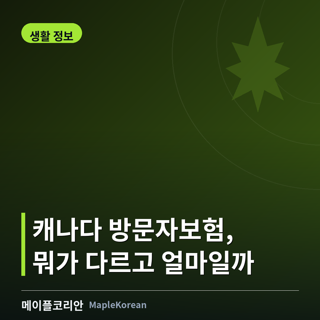 캐나다 방문자보험 비교 가이드