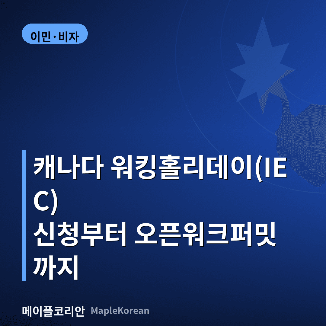 여권을 들고 비행기 창밖으로 캐나다 풍경을 바라보는 워킹홀리데이 예비 참가자